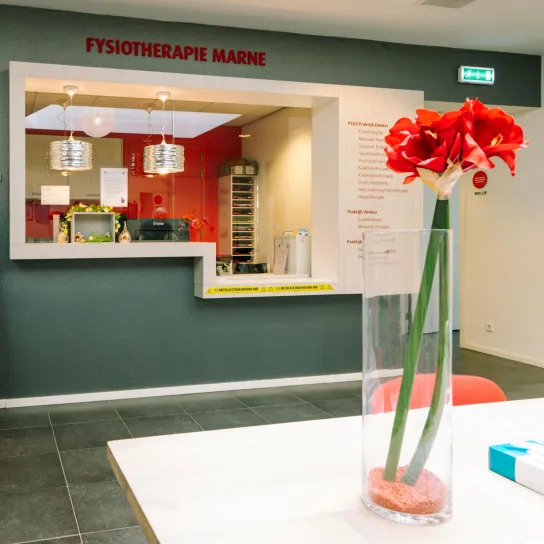 Onze contactgegevens